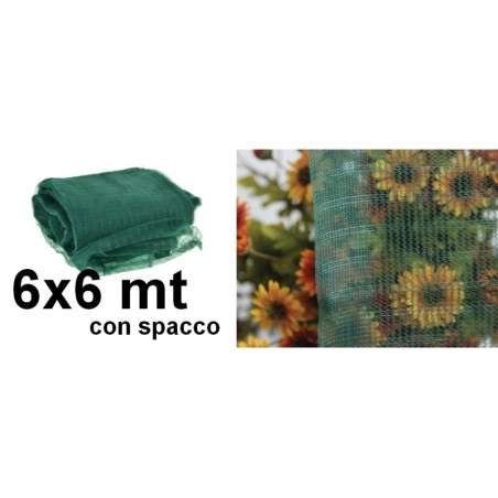 Rete raccolta olive antispine con spacco 6x6m