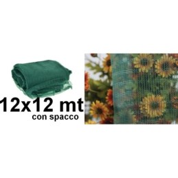 Rete raccolta olive antispine con spacco 12x12m